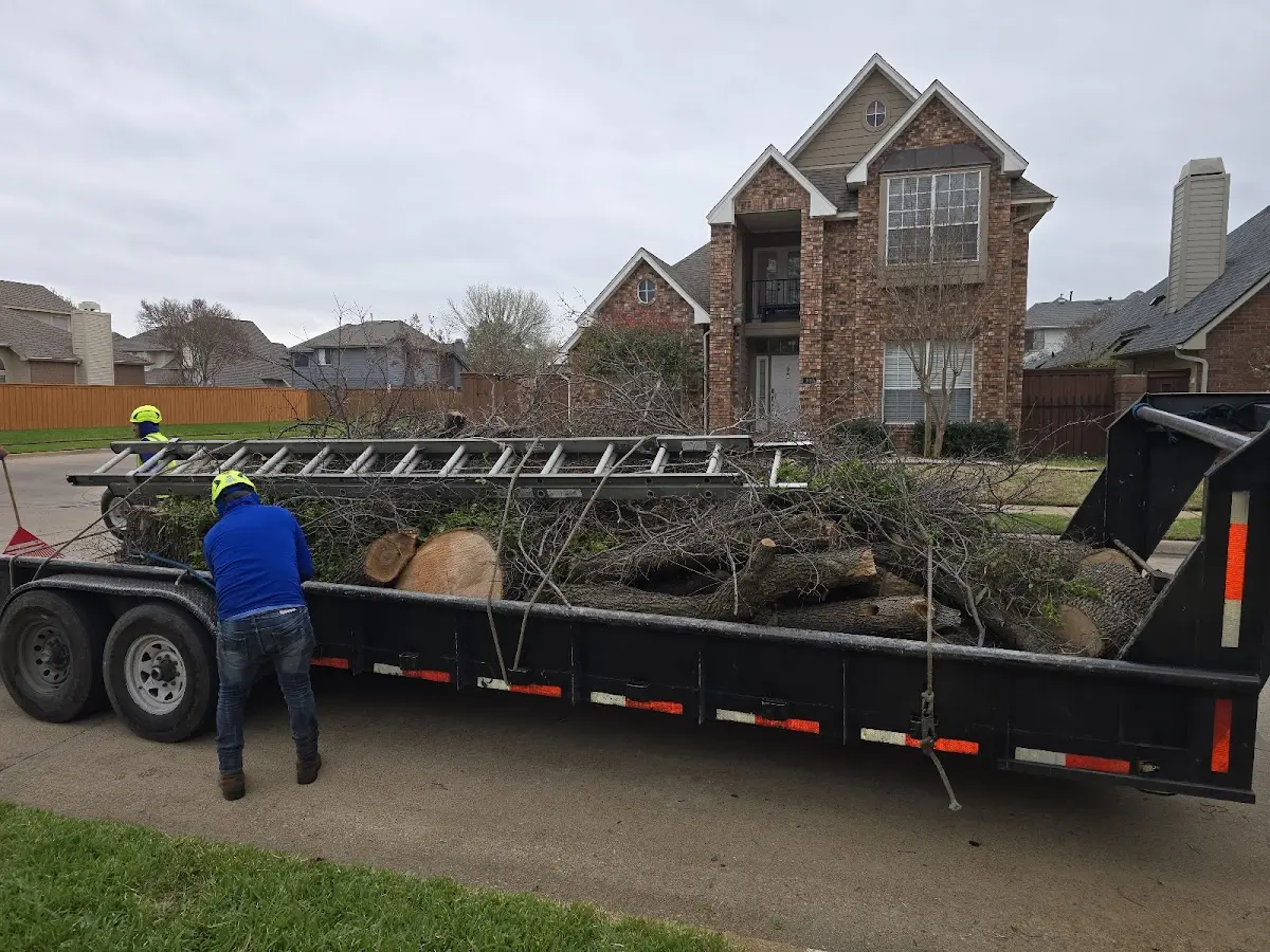 Expert Tree Pest Control with proper safety equipment in Brush Valley